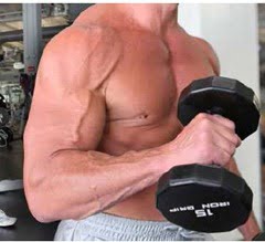 Hammer Curl for quick muscle building